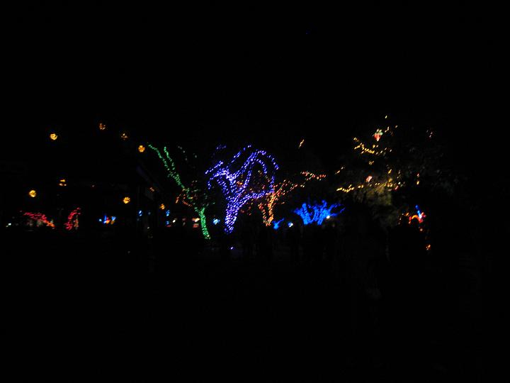 ZooLights 04.JPG